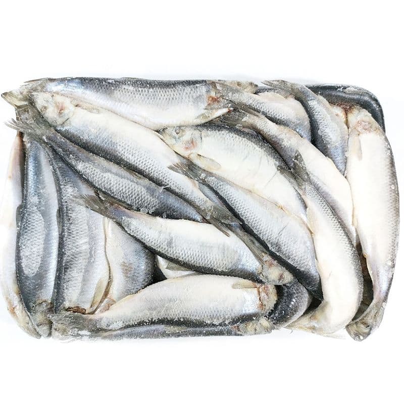 Рыба Сельдь св/м н/р 300+ вес